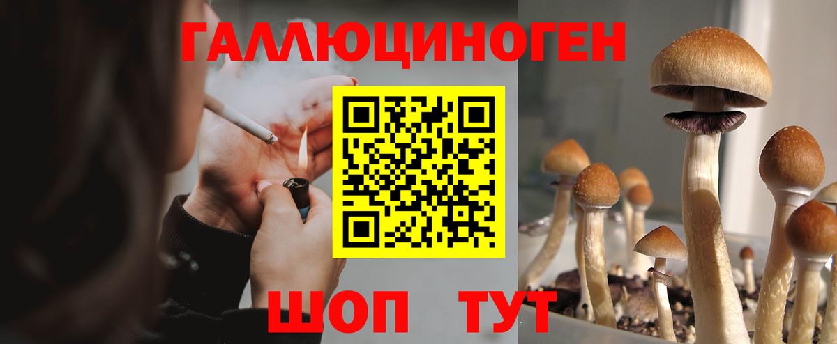 Галлюциногенные грибы мицелий  Вход с VPN  Мегион 